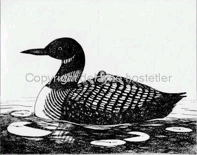 Loon