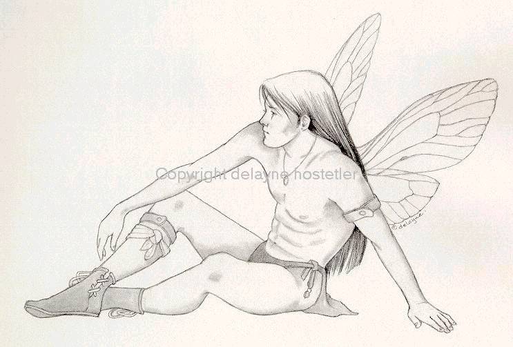 Boy Fairy